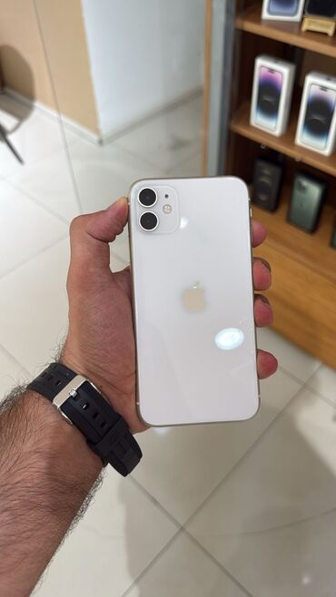 IPhone 11, Ağ