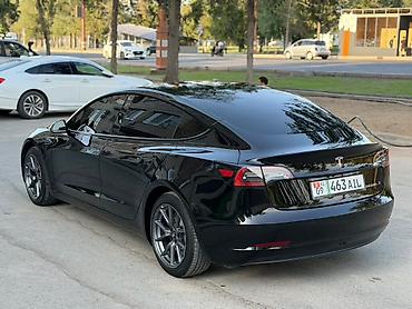 byd e6: Tesla Model 3: 2023 г., 0.1 л, Автомат, Электромобиль, Лифтбек — 3