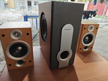комплектующие для компьютера: Колонки 2.1, Sanyo, Сабвуфер Paragon