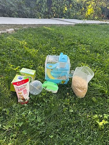 маленький хомяк: Набор для хомяка “всё в одном”. В комплекте: - Клетка компактная с — 3