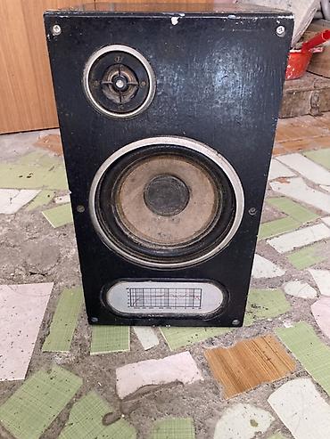 Dinamiklər və kolonkalar: RADIOTEXNIKA S70 kolonkalari 2 ed., cut. Yuksek keyfiyetli ses — 1
