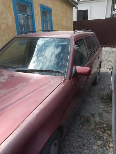 crown 813: Mercedes-Benz W124: 1989 г., Универсал — 2