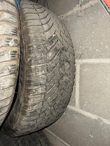 21560: Всесезонные шины Bridgestone Blizzak DM-V2 (на боковине видна серия — 2