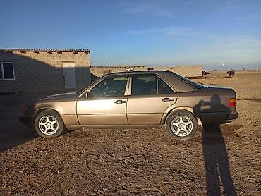 Mercedes-Benz: Mercedes-Benz W124: 1991 г., 2 л, Механика, Бензин, Седан — 1