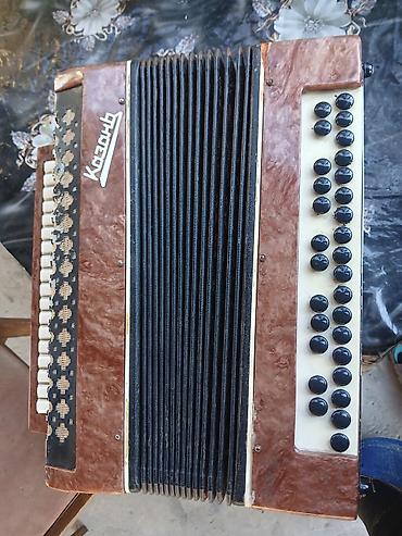 xudu saz evi: Akustik Akkordeon, Yeni — 1