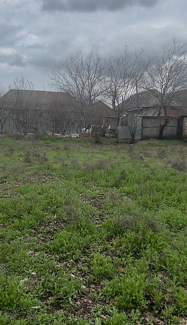 car parking maşın satışı: 20 sot, Tikinti, Mülkiyyətçi, Kupça (Çıxarış) — 5