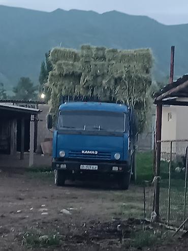 тягач рено: Грузовик, 7 т, Б/у — 8
