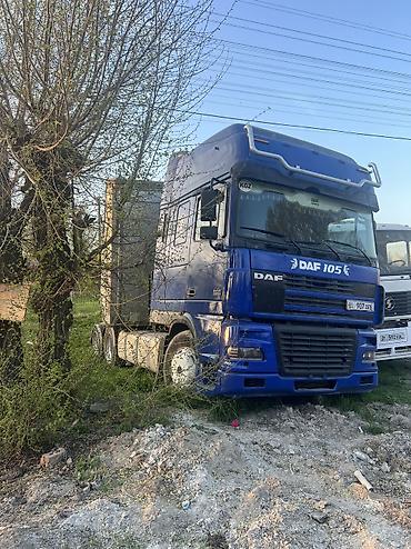 Тягачи: Тягач, DAF, 2003 г., Шторный — 2