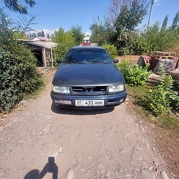 Volkswagen: Volkswagen Passat: 1995 г., Седан — 4