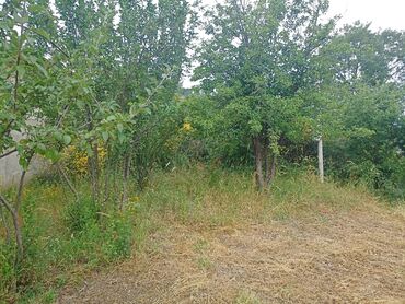 Bağ evlərinin satışı: Yardımlı, 120 kv. m, 4 otaqlı, Hovuzsuz, Qaz, İşıq -da lalafo.az — 6 Bağ evlərinin satışı: Yardımlı, 120 kv. m, 4 otaqlı, Hovuzsuz, Qaz, İşıq — 6