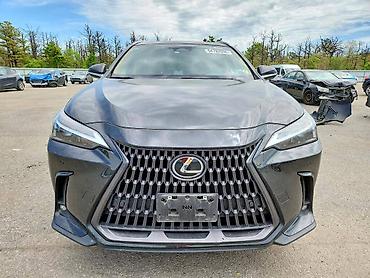 nx: Lexus NX: 2022 г. — 1