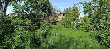 комсомолькое: 8 соток, Для строительства, Красная книга — 4