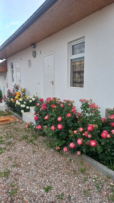 дома нижняя ала арча: 30 м², 1 комната