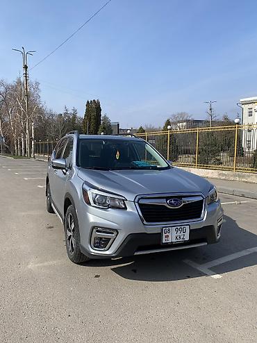 Subaru: Subaru Forester: 2019 г., Кроссовер — 24