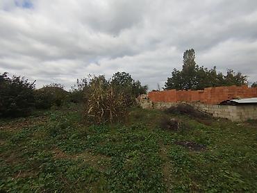 fatmayıda torpaq: Qusar rayonu Hesenqala kendinde asfaltın yaxinliginda 8 sot torpaq — 3