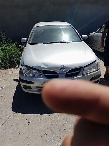 cd 70: Nissan Almera: 2001 г., 1.5 л, Механика, Бензин, Хэтчбэк — 1