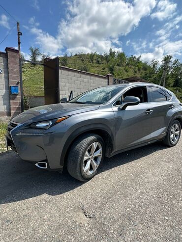 аниме чехол: Lexus NX: 2016 г., 2.5 л, Автомат, Гибрид, Кроссовер