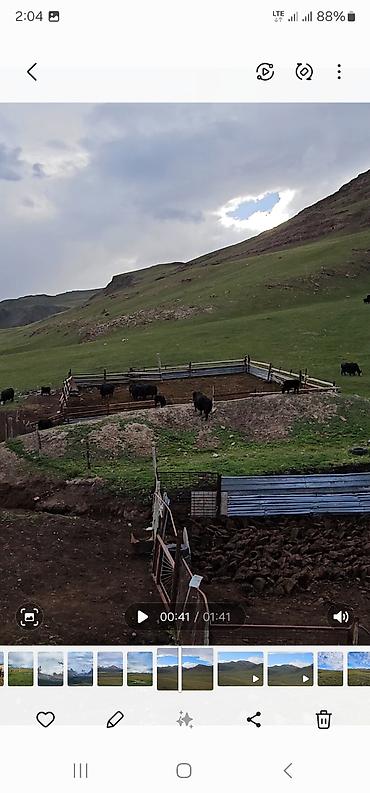 Продажа времянок: Сары джаз өрөнүндө эчкили-таш аймагында сарай, кашар сатылат — 3