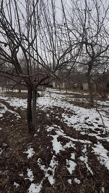 Продажа коттеджей и домов: Окуу жана окуу ❗ жакшы бада жер үй сатылат адрес Жалал-Абад шаарында — 8