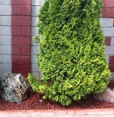 Другие товары для дома и сада: Фонтаны из натурального камня. А так-же декорирование клумб. Дополнить — 9