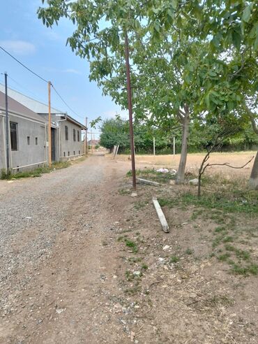 xacmaz torpaq sahesi satilir: 5 sot, Kənd təsərrüfatı, Mülkiyyətçi, Kupça (Çıxarış), Bələdiyyə