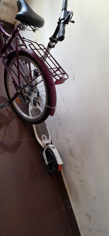 İdman velosipedləri: Yeni Şose velosipedi Isma, 29"