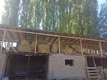 казахстан шоколад цена бишкек: Сено в тюках - Прессованные тюки соломы/сена, удобно для хранения и