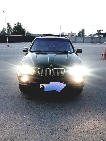 BMW: BMW X5: 2003 г., 3 л, Автомат, Бензин, Внедорожник