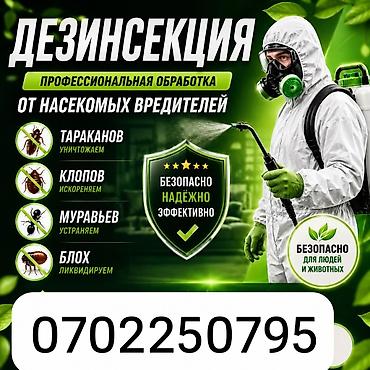 Дезинсекция — профессиональная обработка от насекомых-вредителей. Что at lalafo.kg Дезинсекция — профессиональная обработка от насекомых-вредителей. Что
