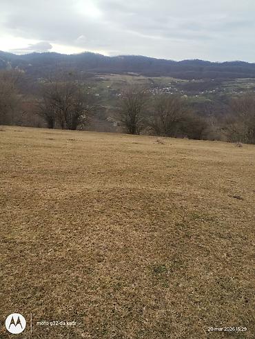 Torpaq sahələrinin satışı: 130 sot, Kənd təsərrüfatı, Kupça (Çıxarış) — 3