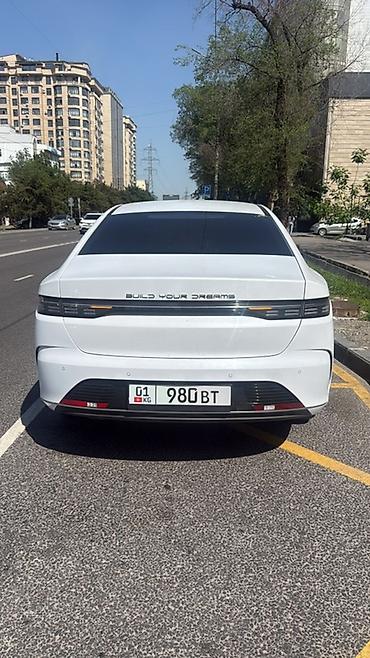 BYD: BYD Destroyer 05: 2025 г., 2 л, Автомат, Электромобиль, Седан — 1