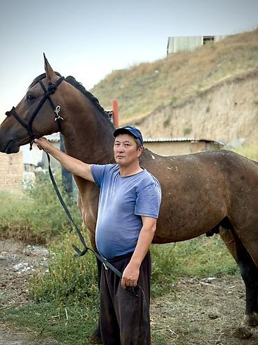 белый конь: Продаю | Жеребец | Кара Жорго | Для разведения — 4