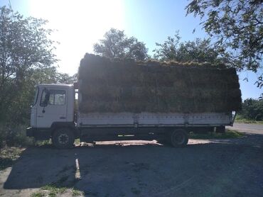 панель на гольф 2: Жүк ташуучу унаа, MAN, Стандарт