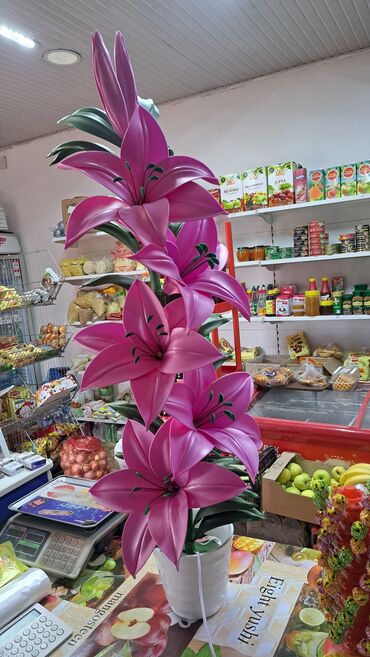 Другое: Другое — 9