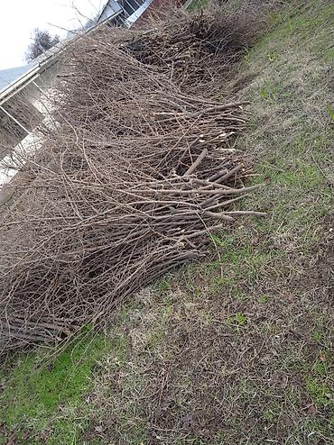 Дрова: Дрова — 2