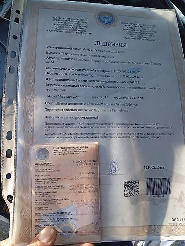w210 e320: Пассажирский микроавтобус Mercedes-Benz (серебристый) для перевозок и — 6