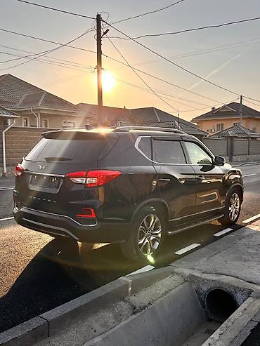 Ssangyong: Ssangyong Rexton: 2020 г., 2.2 л, Автомат, Дизель, Внедорожник — 2