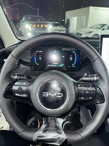 BYD: BYD E2: 2025 г., 1.5 л, Автомат, Электромобиль, Хэтчбэк — 10