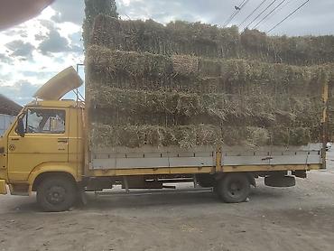 портер 133: Грузовик, Mercedes-Benz, Стандарт, 6 т, Б/у — 7