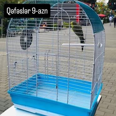 Tutuquşları: Bala Valnisti 9azn Boş qəfəs 9azn 1 bala quş +Qəfəs +Suqabı+Yemqabı — 8