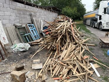 орех токмок: Тактайлар, Кесилген эмес, Жалбырактуу бактар