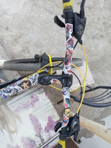 Dağ velosipedi 29"