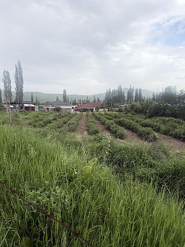 Продажа участков: 18 соток, Для строительства, Красная книга, Тех паспорт — 5