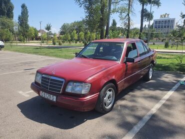 Mercedes-Benz: Mercedes-Benz W124: 1994 г., Автомат, Бензин, Седан — 6