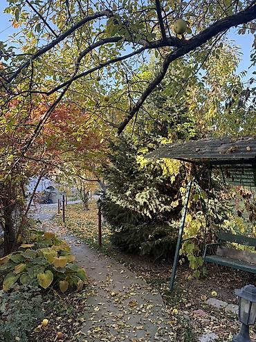 Продажа дачи: 4 комнаты, 200 м², 10 соток, Электричество, Горячая вода, Холодная вода — 11