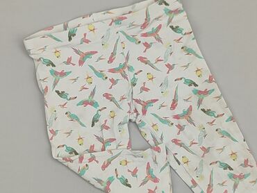 la blanche spodnie: Leggings for kids, Lupilu, 3-4 years, 98/104, condition - Good