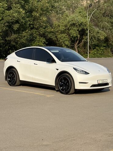 Tesla: Tesla Model Y: 2020 г., Автомат, Электромобиль, Кроссовер — 2