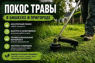 Клининговые услуги: Уборка территории, Стрижка газона — 1
