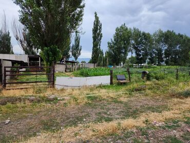 Продажа участков: 15 соток, Для строительства, Красная книга — 2