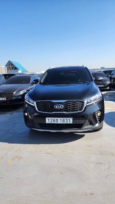 Kia: Kia Sorento: 2019 г., 2 л, Автомат, Дизель, Кроссовер